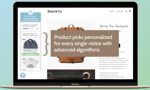 Image of the new Chester AI assistant App on a Shopify store