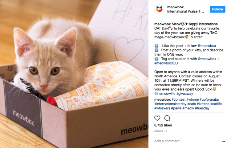 Meowbox running their Instagram UGC contest