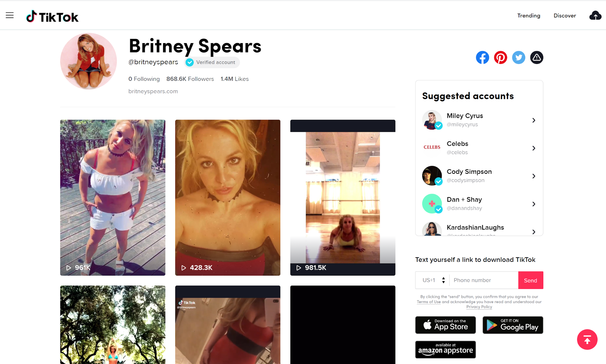 tiktok for ecommerce | Britney Spears tiktok