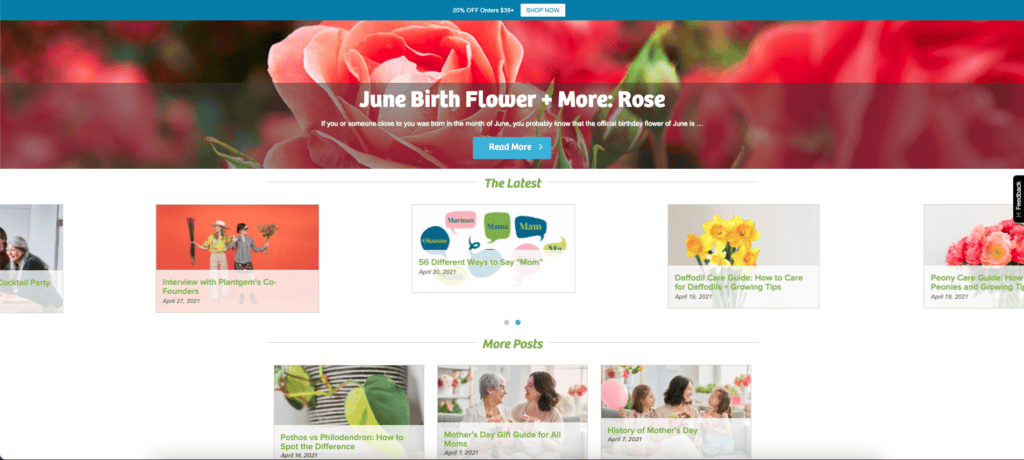 ecommerce-content-marketing-strategy-pro-flowers