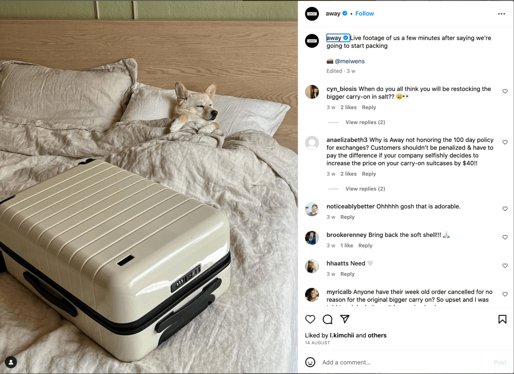 user generated content dog sleeping in bed with a brand's suitcase next to it